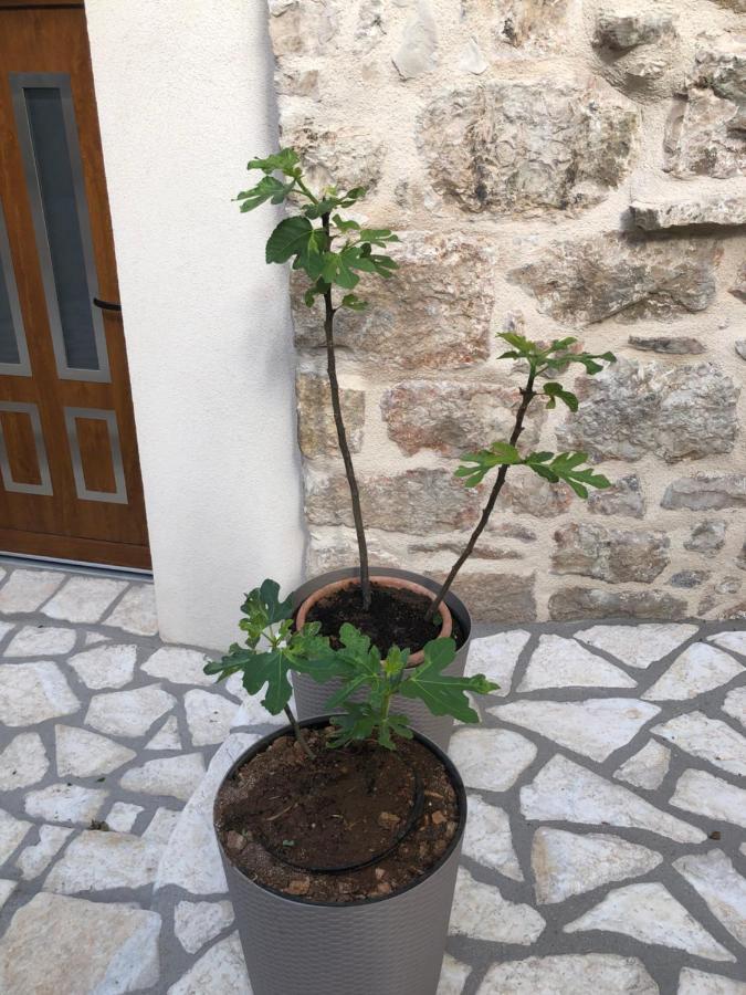 Old Town Apartment Mare Hvar Town Exterior photo